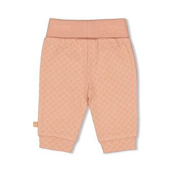 Feetje Broek - Little Rosebud 52202189