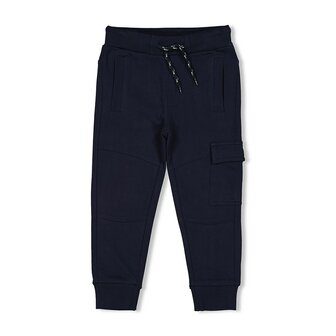 Sturdy Cargo broek - Coastal Cool 72200222