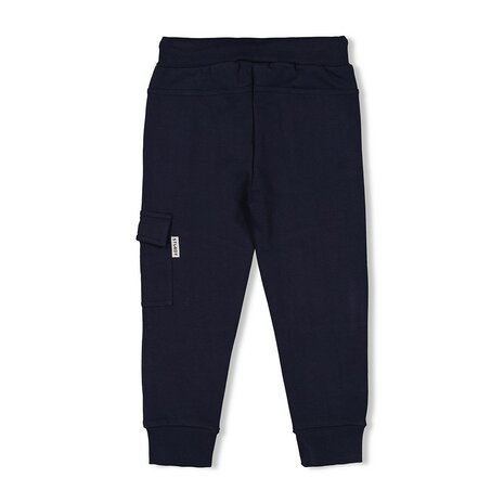 Sturdy Cargo broek - Coastal Cool 72200222