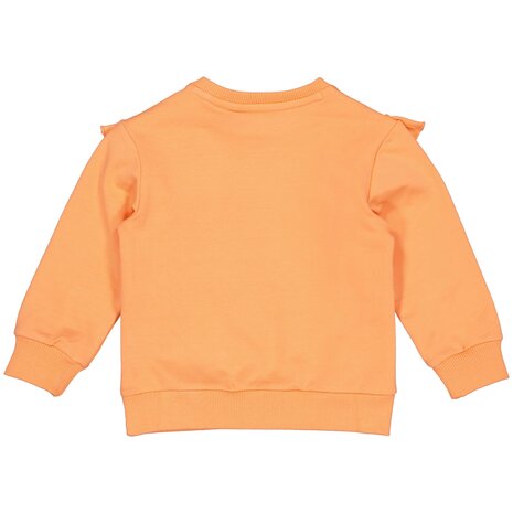 Quapi Sweater - QW241MANDY