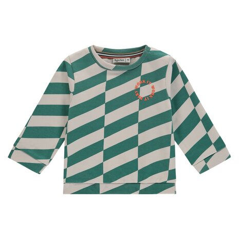 BABYFACE baby boys sweat shirt green BBE25127401