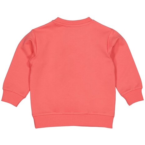 Quapi Sweater - QS252MARLON